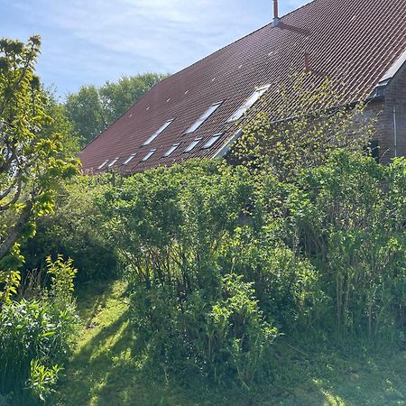 Ferienhof Spiegelhaus Krummhörn Екстериор снимка