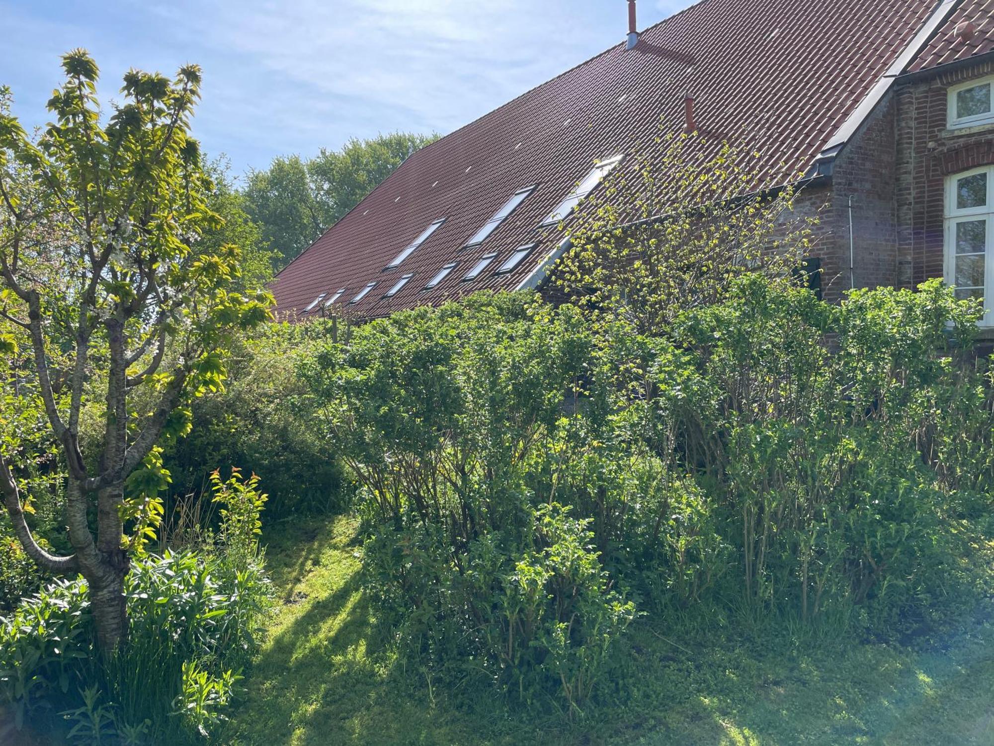 Ferienhof Spiegelhaus Krummhörn Екстериор снимка
