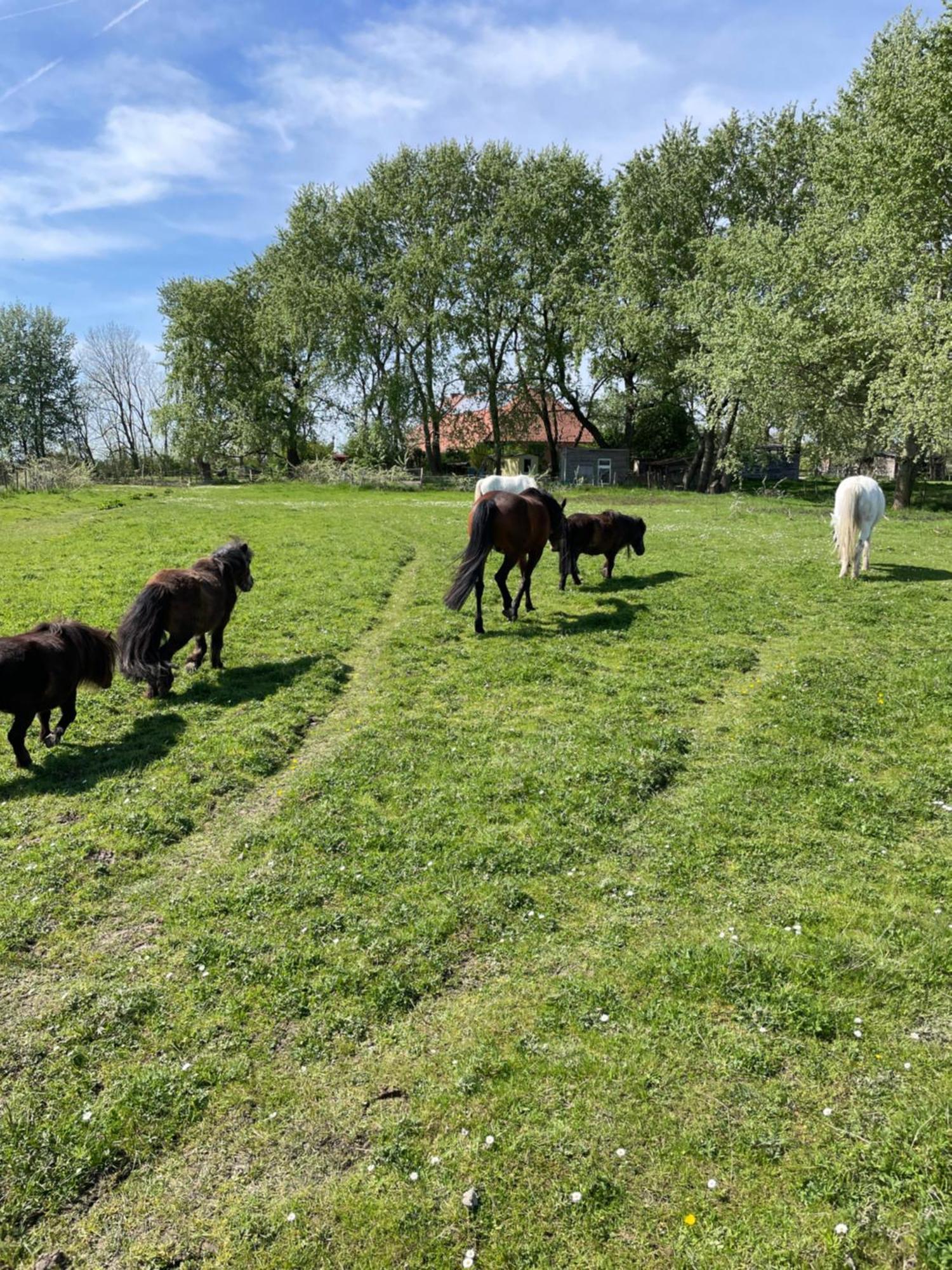 Ferienhof Spiegelhaus Krummhörn Екстериор снимка